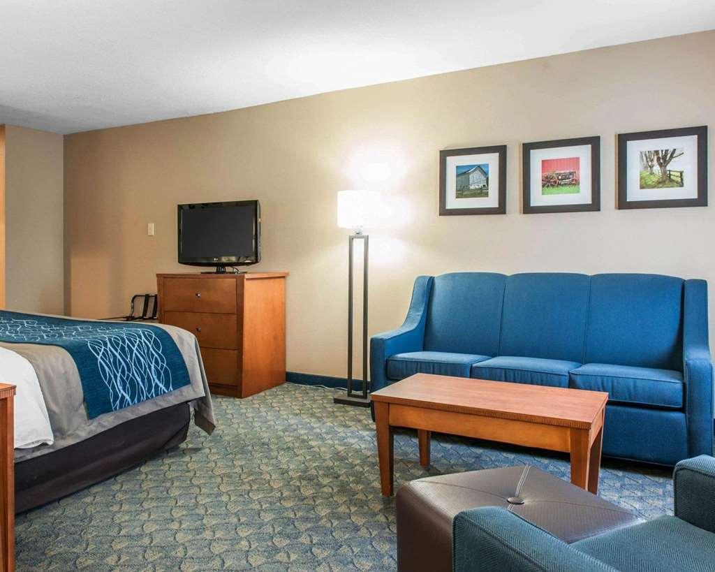 Comfort Inn & Suites Napoleon Quarto foto