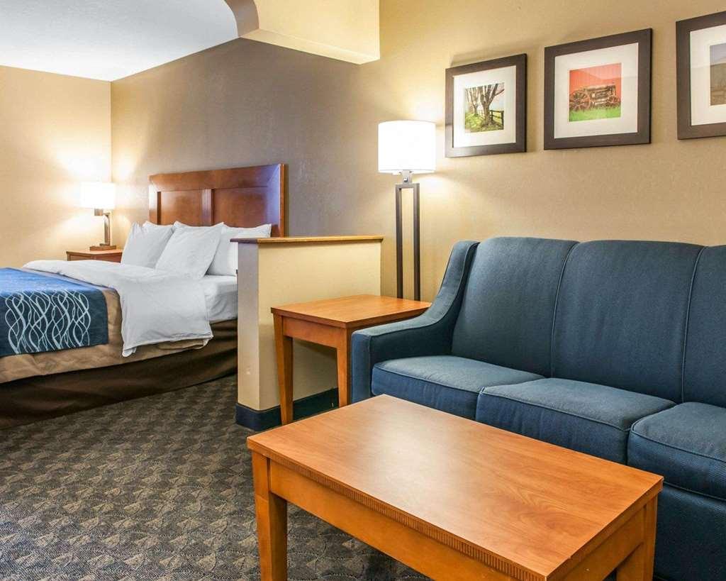 Comfort Inn & Suites Napoleon Quarto foto